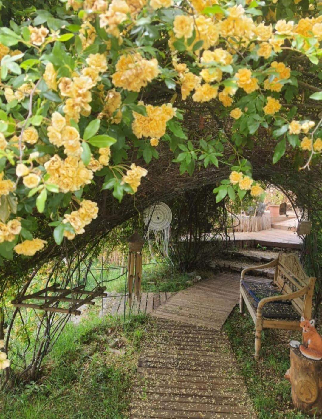 Bed and Breakfast La Lyalis Aiguines Exterior foto